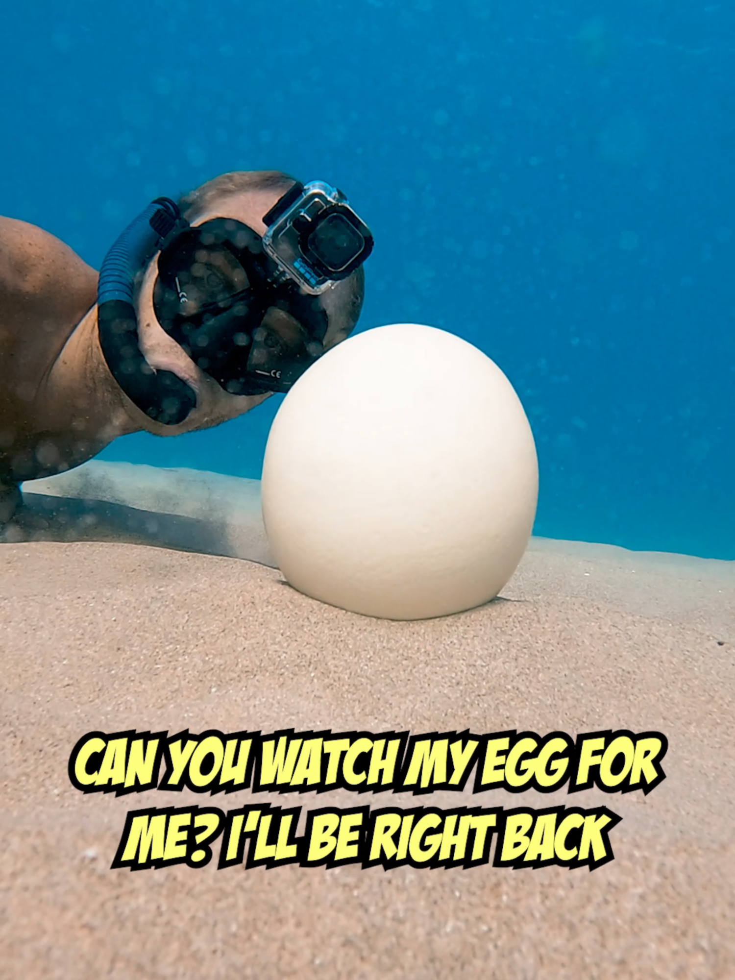 keep an eye on my egg for me i'll be right back!