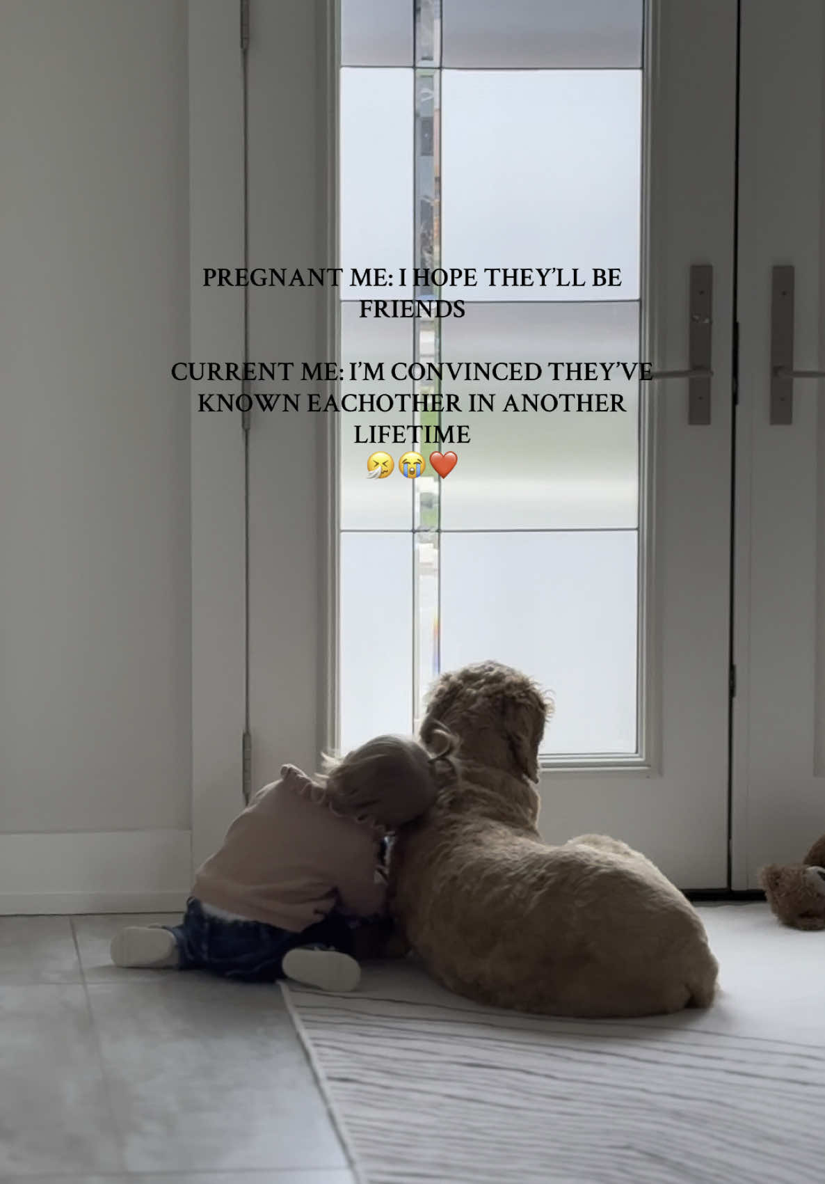 Tell me this isn’t soulmate energy ❤️‍🔥😭 #toddlermoms #toddleranddog #dogandbaby ##toddlermoments##momsoftoddlers