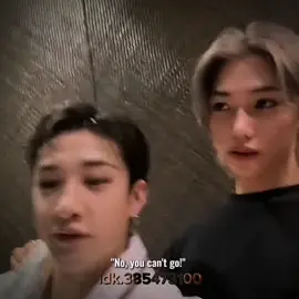 #CHANLIX || Did Felix just say the c word??? || #felix #bangchan #straykids #skz #fypp #viral 