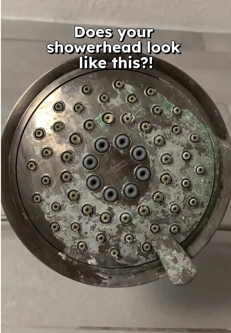 Hard water stains on your showerhead? Check out this easy DIY hack to fix it! 🚿✨      #cleaning #fyp #shower #maintenance #tips #DIY 