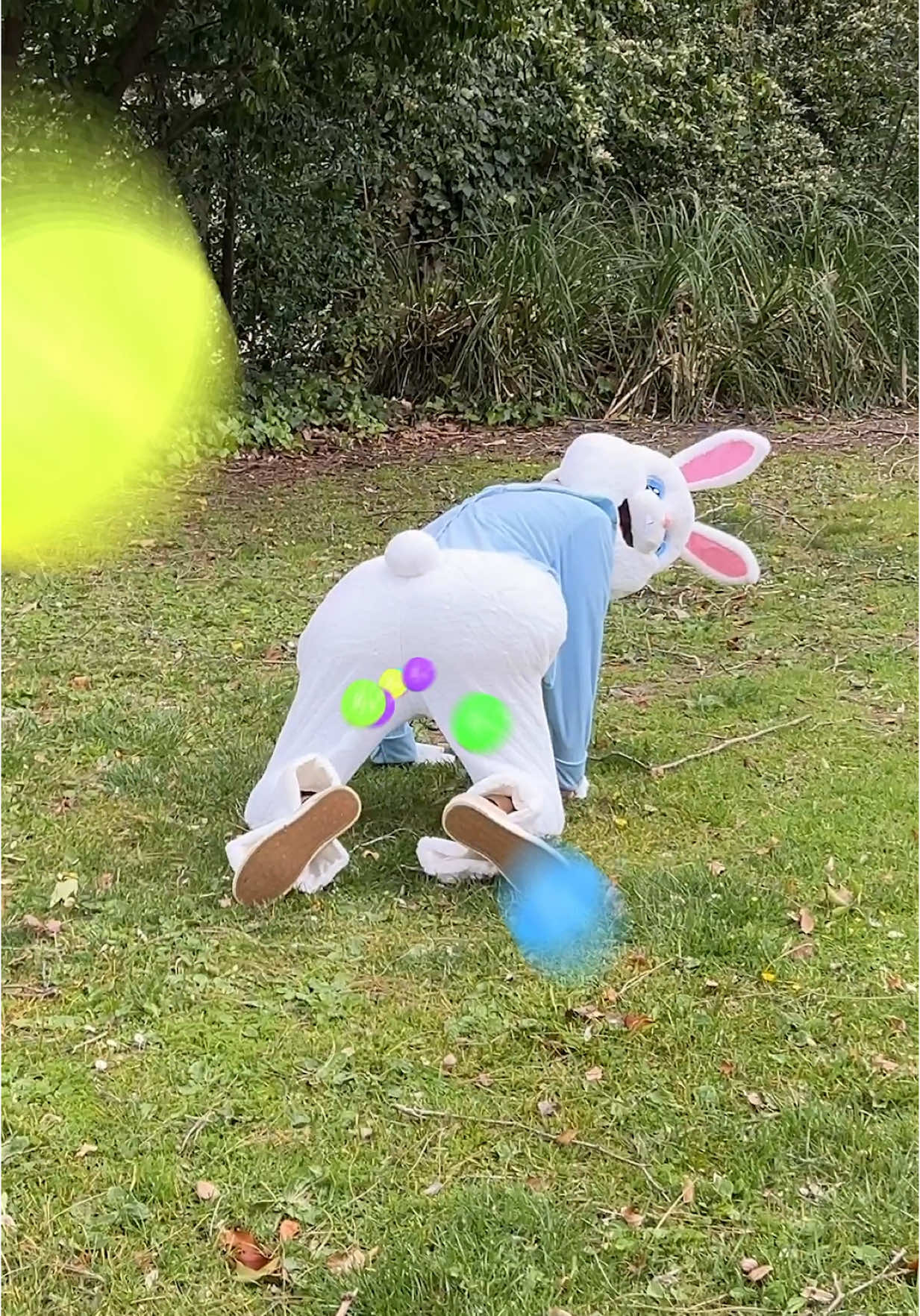 Ever think about this? @Adam W  #easterbunny 