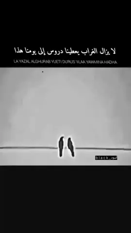 #الخيانة_أبشع_شيء_في_الحياة #🥱 