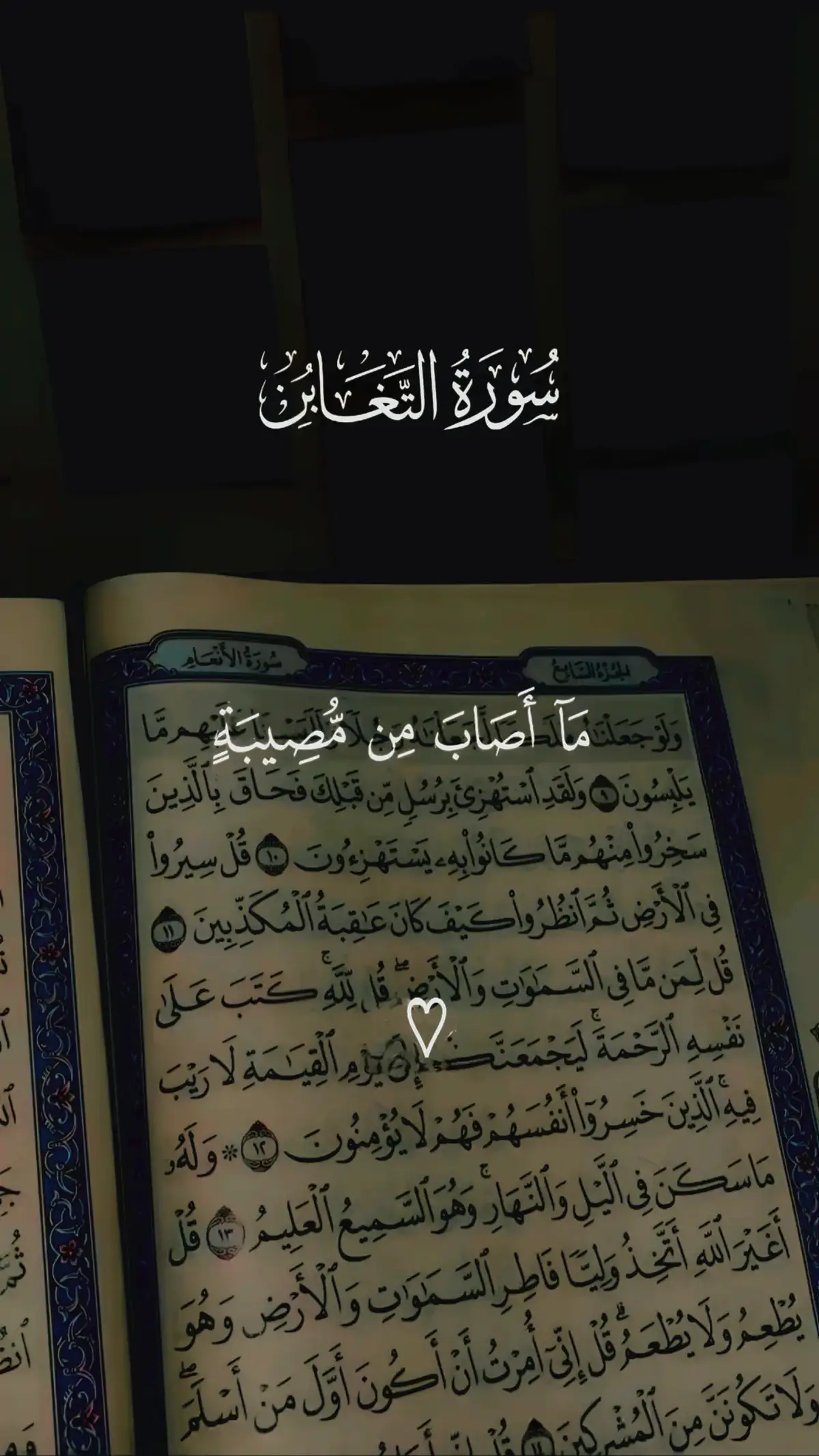 #سورة_التغابن #رعد_الكردي #قران #قران_كريم #quran #راحة_نفسية #explore #foryou #fyp 