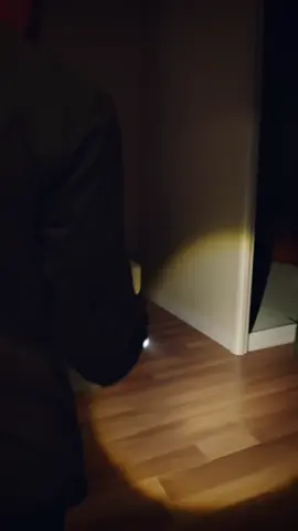 A typical night at my house  #weirdcore #creatures #weirdpets #creepypasta 
