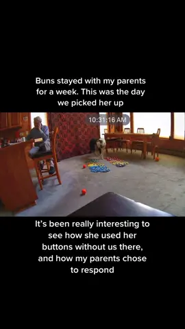 Buns and my dad have the sweetest relationship 🥰