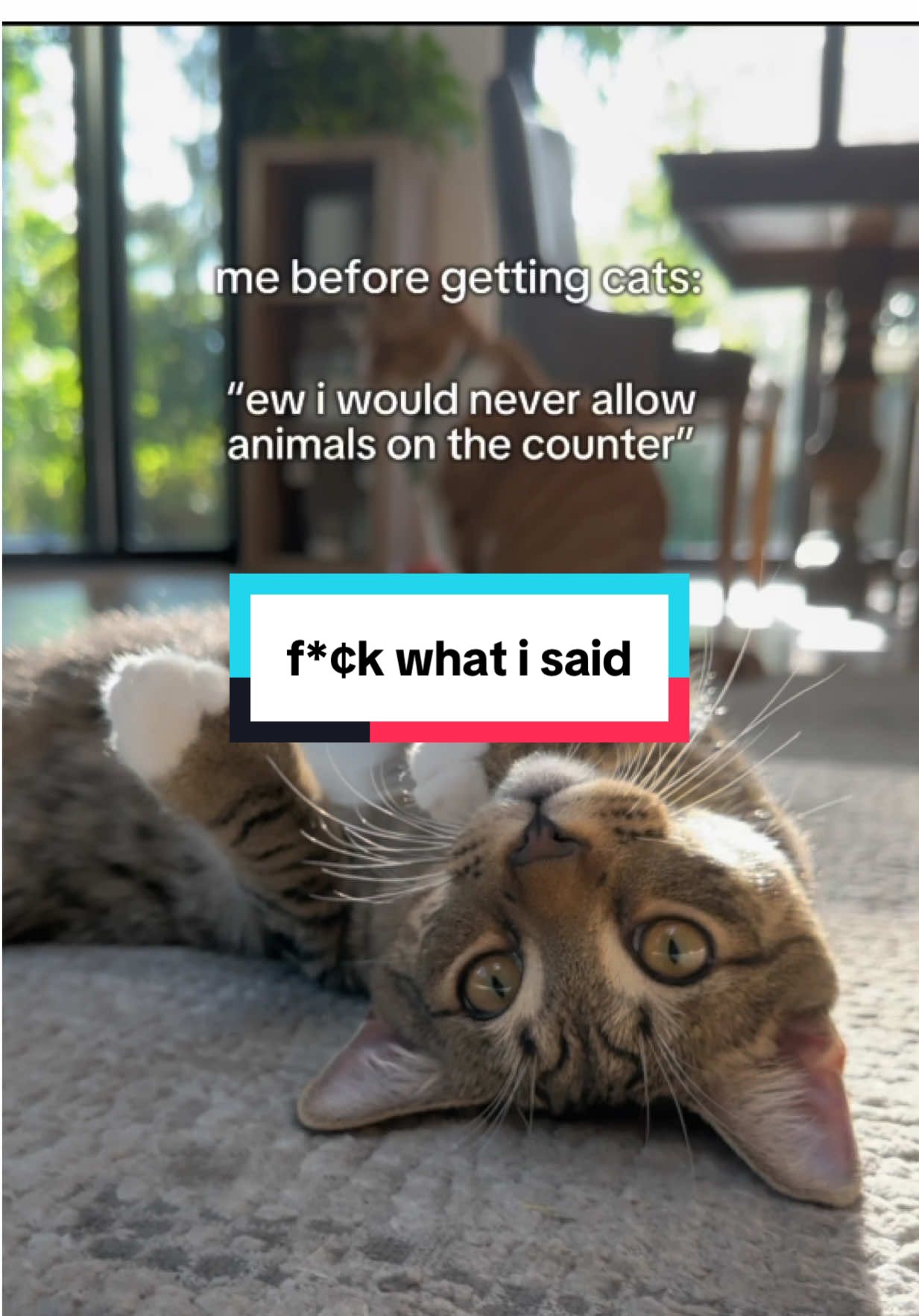 f*¢k what i said