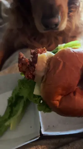 wait I think It actually just ruined the whole sandwich #chickfila 