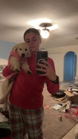 The first 6 months of my baby’s life🥹 #goldenretriever #englishcreamgoldenretriever #puppy #puppylife #puppytiktok #growupsofast #6months #oakleythegoldenretriever 