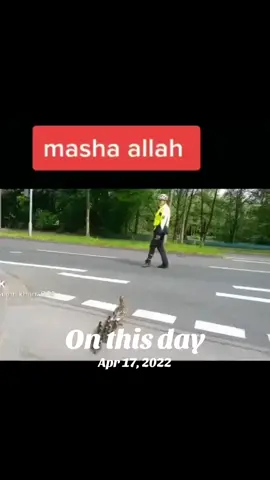 #onthisday 