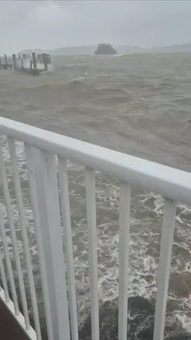 #paihia#cyclonetam#stromwatch