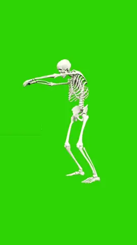 Fundo Verde Chroma Key Esqueleto   #anime #tiktokviral #video #viralvideos #TikTok