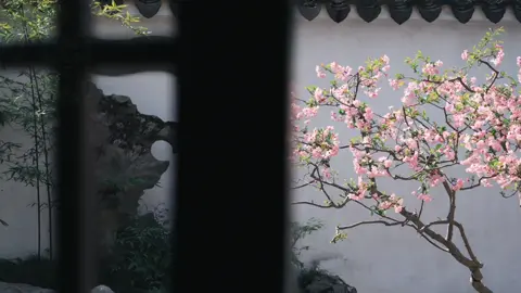 Bình yên sáng sớm #neunhukhiay #thienanha 