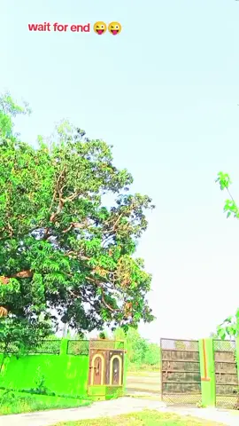 #funny #video #वायरल #टेडेंगी #song #ओरिल #अचर्वा #नतलाग #जाईघाम हो😘😘😜😜
