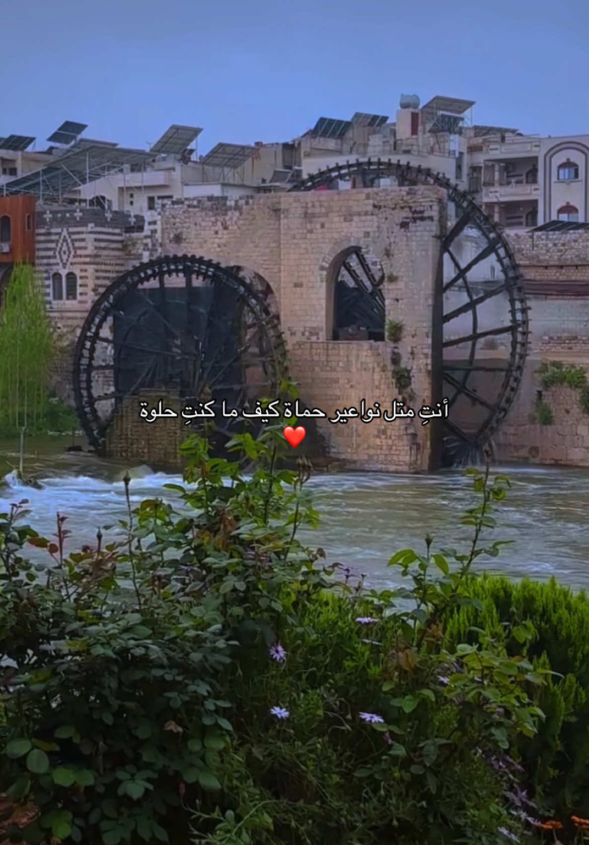 حماه الجميلة💚..#سوريا #حماه #النواعير #اكسبلور #اكسبلوررررر #فولو #حموي 