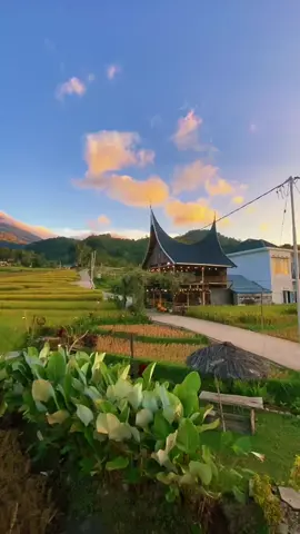 Nuansasikabu nagari sikabu kabu tanjungharo Padang Panjang kabupaten 50 Kota Payakumbuh sumbar #pyp #penginapan #wisata #caffe #kuliner 