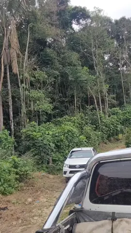 #tropicodecochabamba🇧🇴🌱🍃🍃🍃🌿  #bolivia🇧🇴tiktok  #viralvideos 