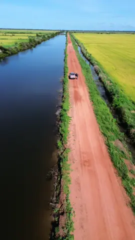 Projeto Rio Formoso. Cooperformoso-Tocantind #safra2025 #arrozirrigado #arroz 