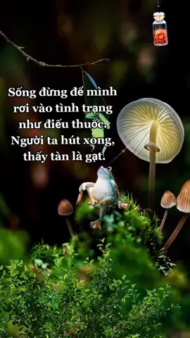 #kỷ niệm xưa #kỷ niệm xưa 