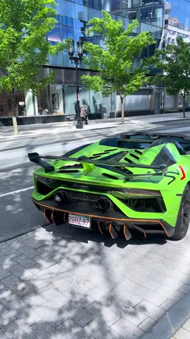 Stunning SVJ leaves Boston Seaport on a sunny day ☀️🔥 #Lamborghini #SVJ V12 singing, sunlight bouncing off the paint—Boston got a proper show today. Nothing beats seeing an SVJ in motion. Would you take this over a Pista? #Supercars #CarCulture #BostonCars #ExoticCars #V12 #CarSpotting #LuxuryCars #PerformanceCars #Automotive