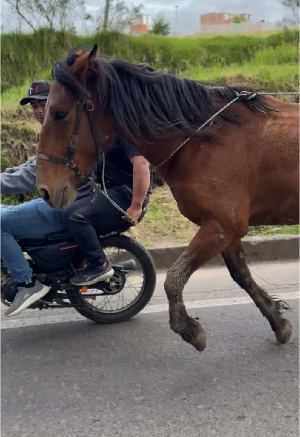 Arre arre 🐎🚂💨.                                📸🛵@pato.aa5 