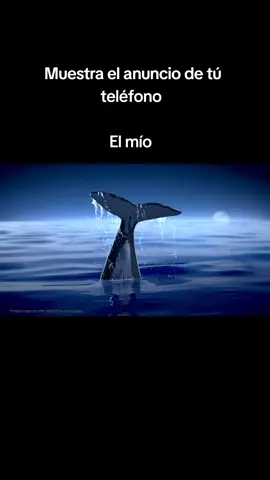 #Redmi #redminote11series #anuncio #contenido #xiaomi #redminote11pro5g #celular 