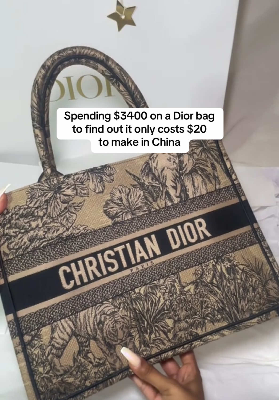 These were going to be investments 😭😭😭 #dior #china #tariff #luxury #luxurybag #diorbag #designerbags #designertok #chinatiktok #luxurytiktok #diorbag 