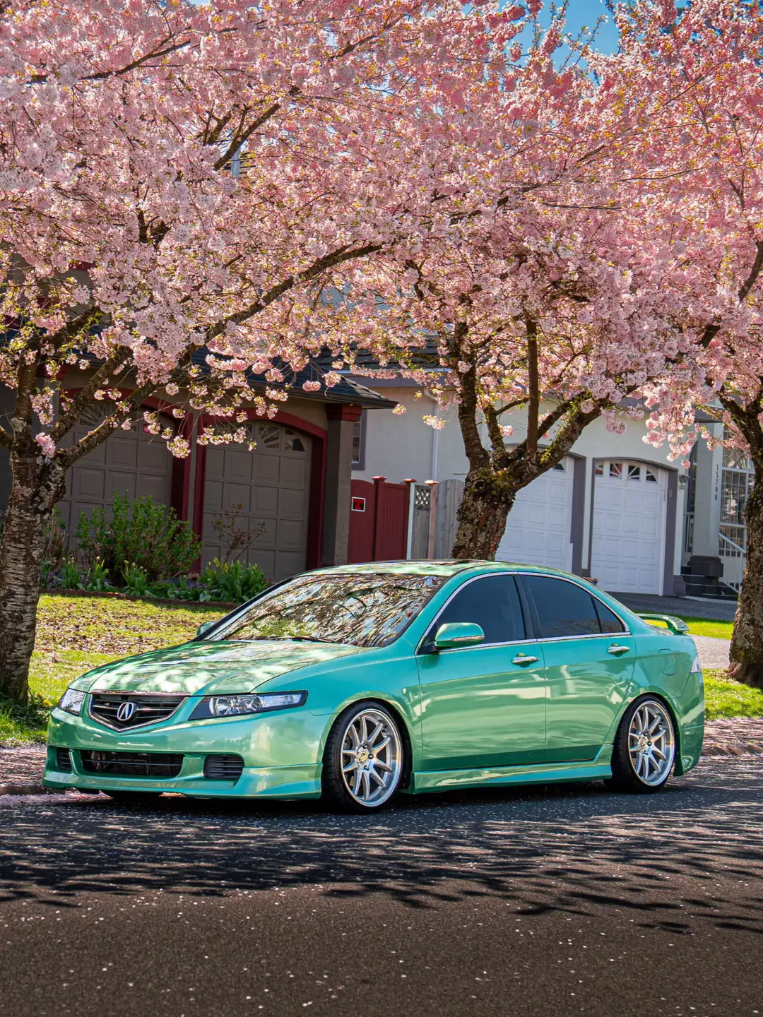 follow the ig for more photo shoots💚 #tsx #honda #acura #cl9 #cl7 #accordeuro #accord #kseries #k24 #midorigreen #vancouver 