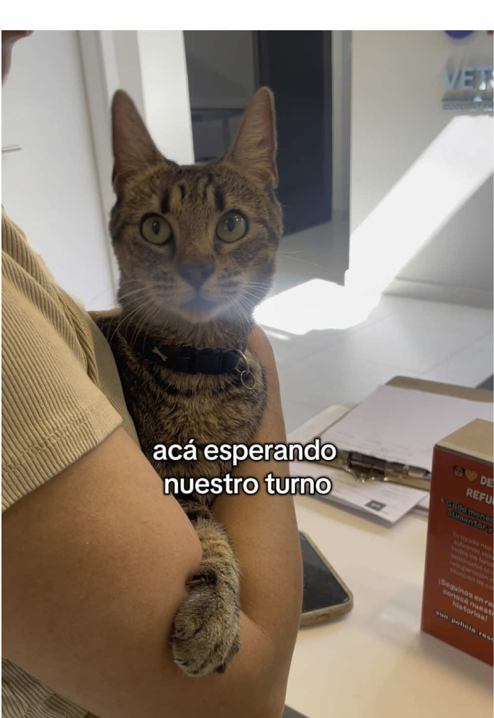 Consulta con Dali 