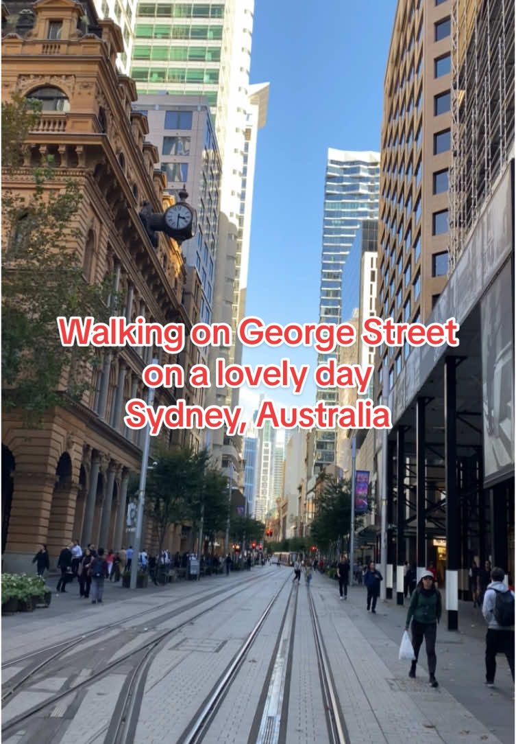 Walking in Sydney🇦🇺🦘🛍️ - Part 11: Walking on George Street on a lovely day☀️🌇🚉. Sydney, Australia🇦🇺. George Street is a street in CBD of Sydney. It was Sydney's original high street, and remains one of the busiest streets in the city centre. It connects a number of the city's most important buildings and precincts. #syd #sydney #australia #foryoupage #citylife #fyp #foryou #viral #sydneyaustralia #walkinginsydney #悉尼 #推荐 #推薦 #georgestreet #qvb #townhall #city #walk #walking #lightrail 