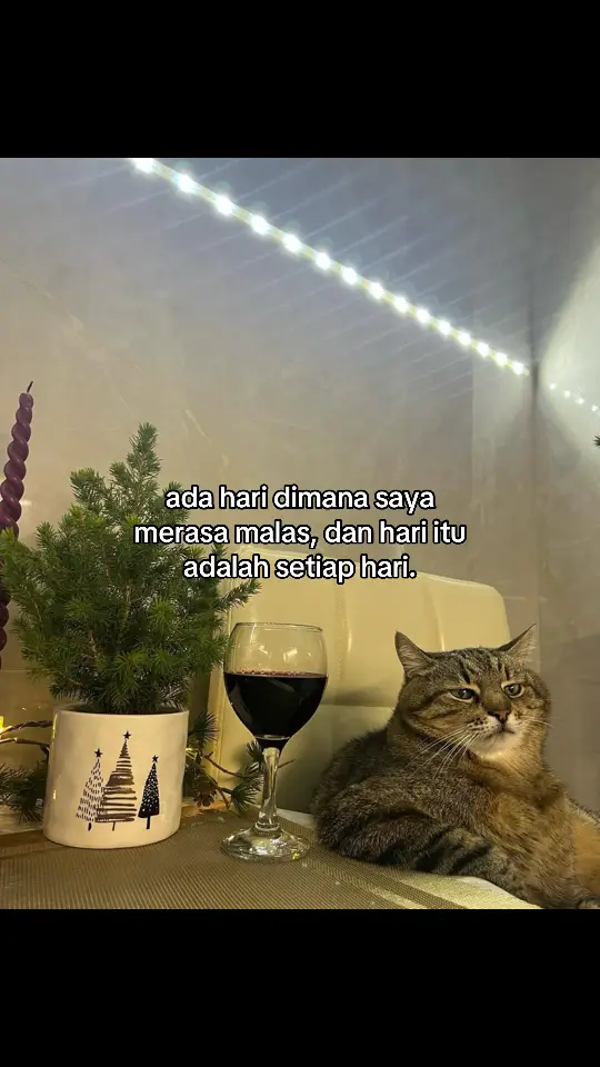 #galaubrutal 