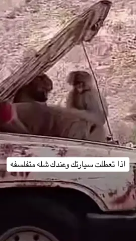 #طقطقه_ضحك_مقاطع_وناسه #اكسبلورexplore #اكسبلور 