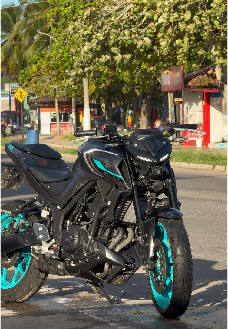 MT 03 2025 😍 . . . . #mt03 #mt032025 #fy #viral #motos #xj6 #hornet #gsxr #gs1250 