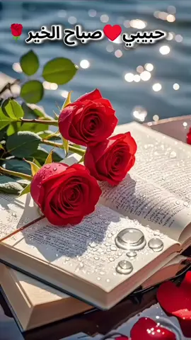 #حبيبي_صباح_الخير_صباحك_ورد #♥️♥️♥️ ##صباح_الخير #ماجد_المهندس 