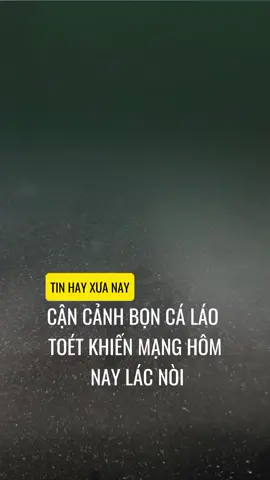 #flypシ #tiktoknews #xuhuongtiktok2024 #foryou 