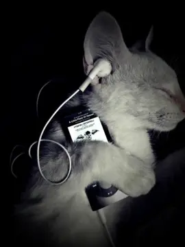 #song #mmsub #multo 