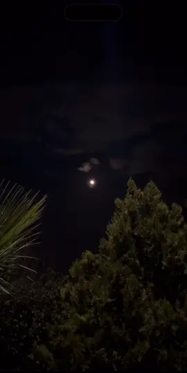 #mah #moon #moonlovers #bestsongs #🌙 #🤍 #fypシ #foryoupage #fypシ゚viral #fyyyyyyyyyyyyyyyy #ویدیو #اهنگ_افغانی #اهنگ_ایرانی #ماه #turkishmusic 