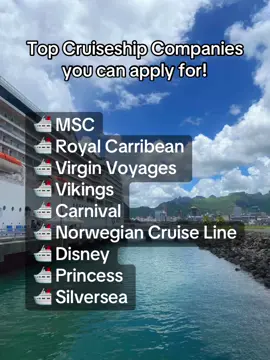 TOP 9 Cruise ship companies to apply for! 🚢  #cruise #southafrica #cruiseshiplife #crewlife #cruisetok #cruisetravel 