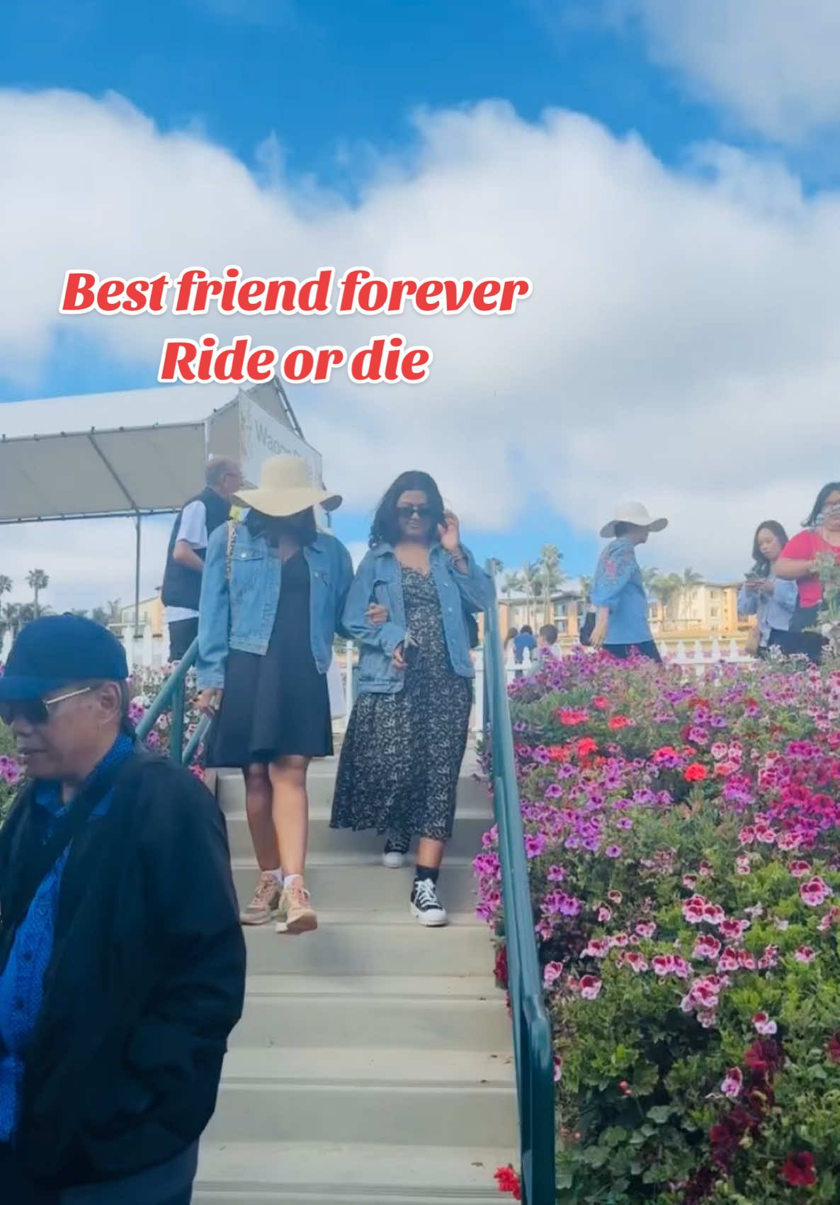 Life is nothing without friendship.