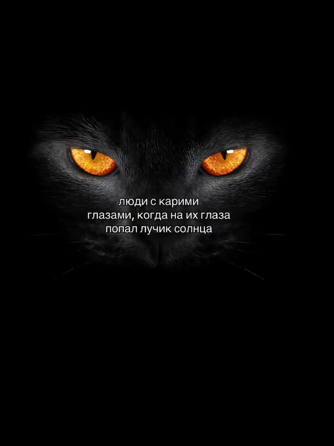 inst:zarmelka тгк-zarmellka