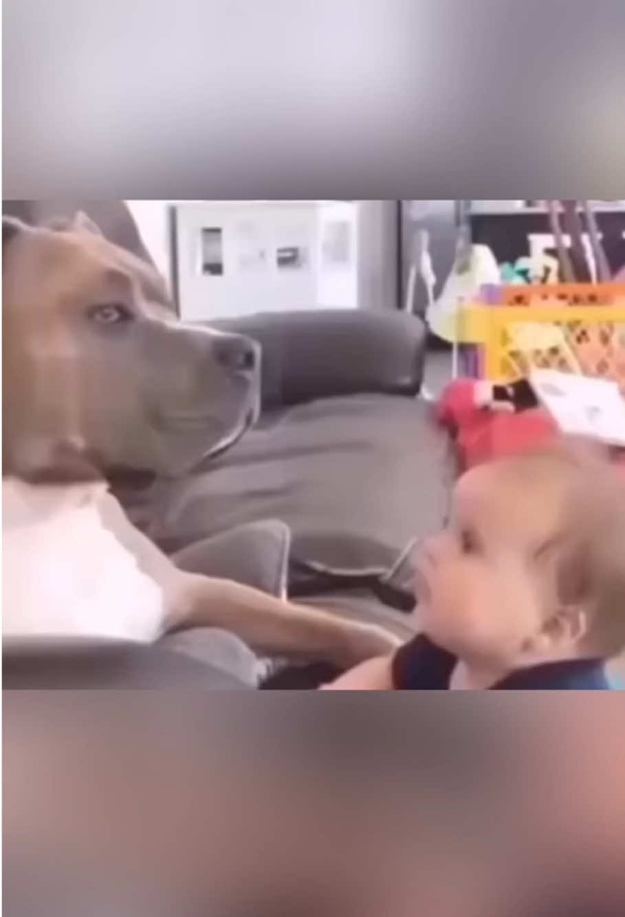 Love and their furry vibes ❤️#dog #baby #Love #funny #dogsoftiktok #foryou #usa🇺🇸 