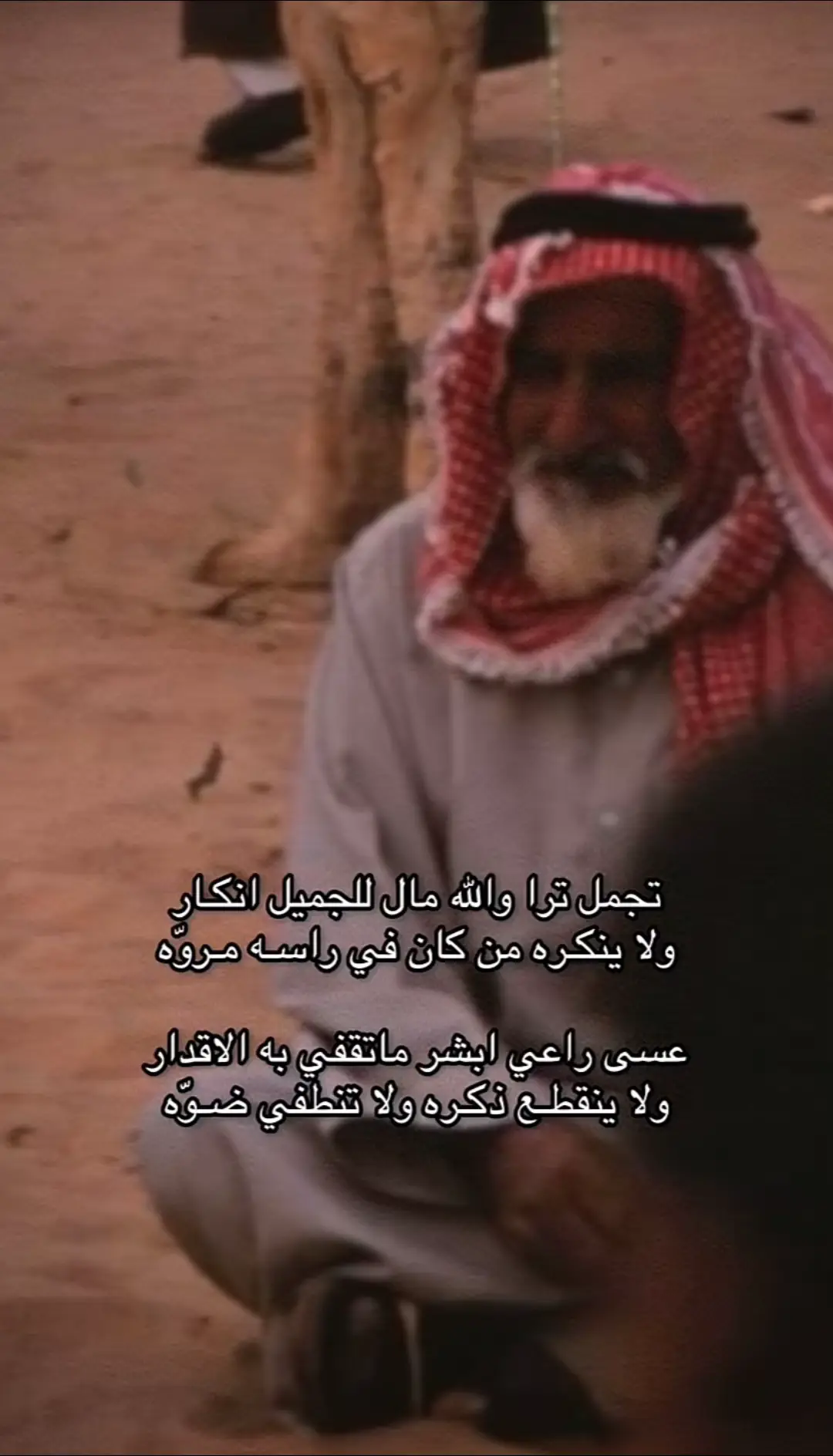 #قصيده_شعر #ابيات_وقصيد #مالي_خلق_احط_هاشتاقات 