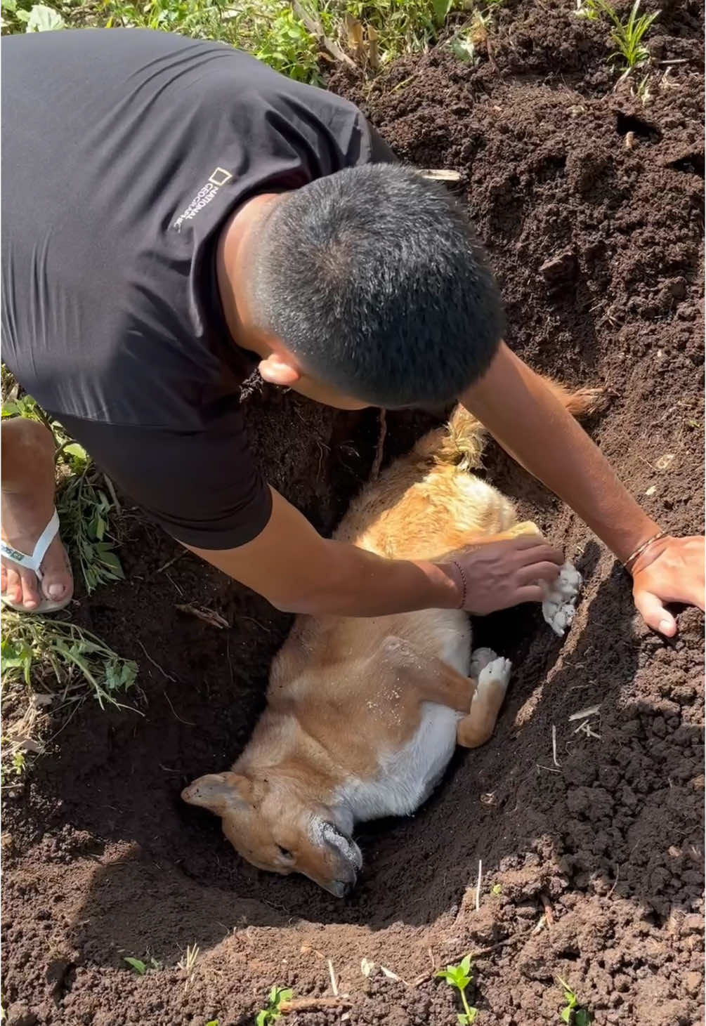 Rip Ciko
