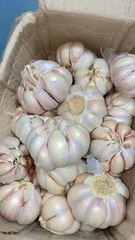 Bawang putih 1kg murah #bawangputih #bawangputihmurah #bawangputihpremium #bawangmurah 