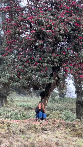Priya phool 🫀