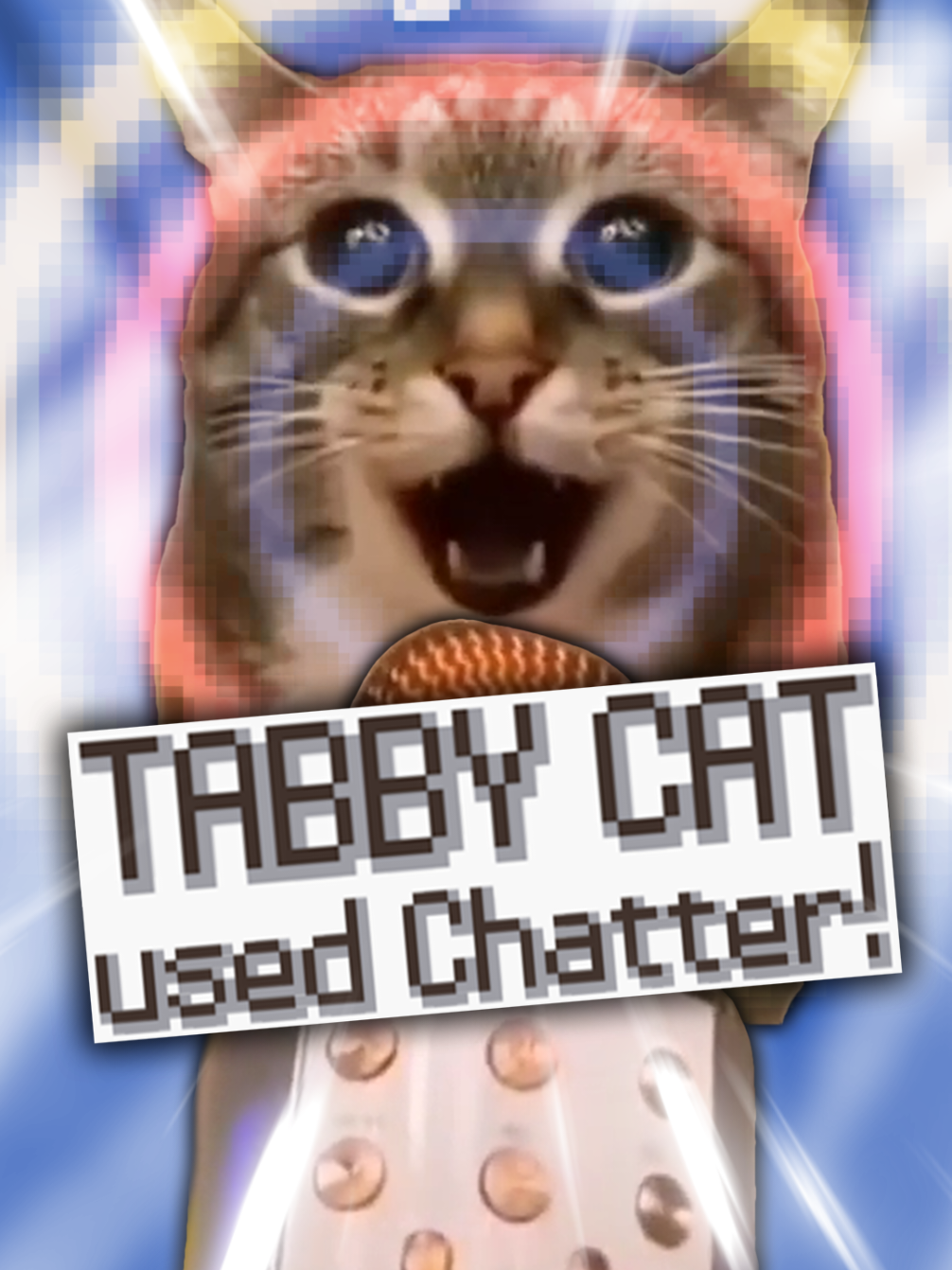 Tabby Cat used Chatter! #pokemon #pokemontiktok #nintendo #catmeme #pokemonedit #gamingmemes #catsoftiktok #nintendods #nostalgia #pokemongo #gaming (Diamond and Pearl HP bars sprites ripped by Space Guard, Textbox sprites ripped by Lakilester 86)