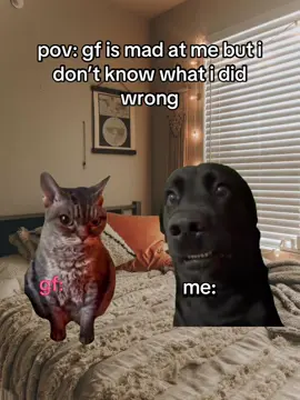Follow me for more ! #real #gf #bf #girlfriend #ilovemygf #boyfriend  #Relationship #couple #catsoftiktok #cat #catlover #dog #dogsoftiktok #funny #fyp 