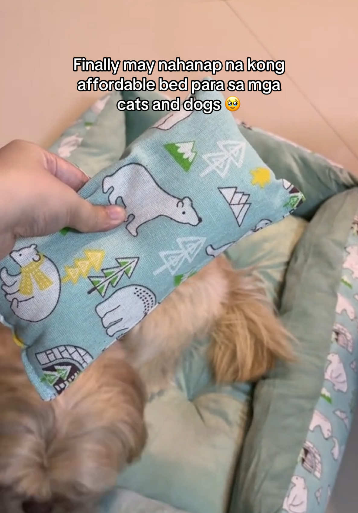 Xl size yung nasa video 🥰 #petbed #dogbed #bedwithpillow 