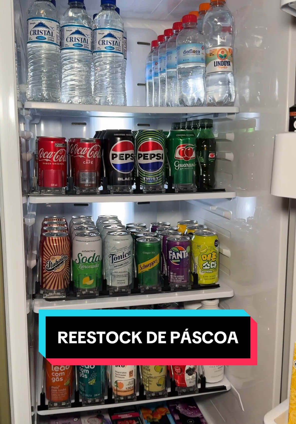 E ai, o que mais vocês colocariam na geladeira de vocês? #reestock #reestocando #asmr #compras #organização 