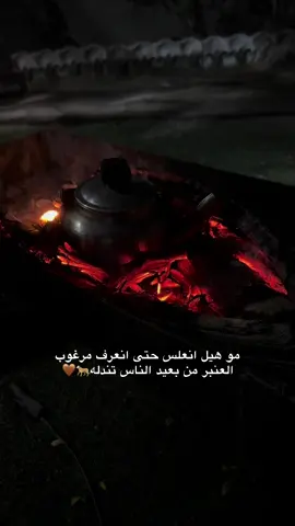 العنبر من بعيد الناس تندله 🤎🐆 #explore #fypシ 