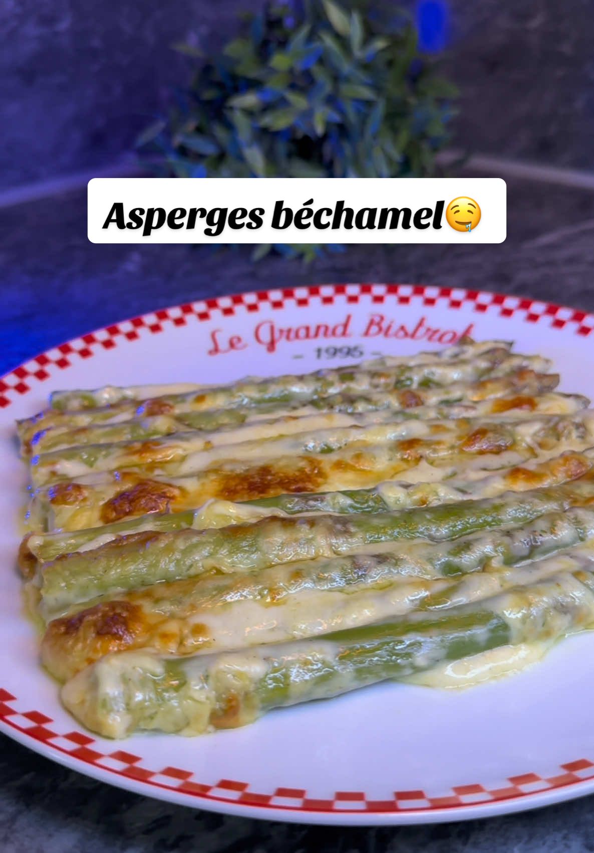 Asperges à la béchamel🤤#recette #food #Recipe #recettefacile #faitmaison #recettesimple 